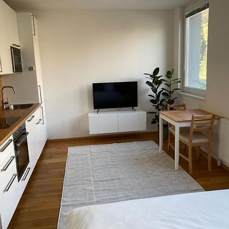 Vila Vinice Prag Eksteriør billede